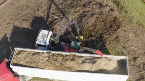 Tree-branches-being-feed-to-chipper-shredder-and-turn-into-wood-chips