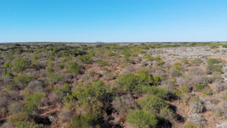 Drone-shot-flying-over-south-Texas-landscape,-brush-country