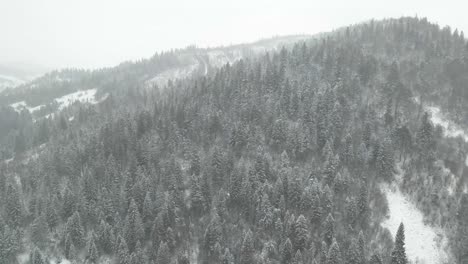 Snow-falling-over-winter-landscape-and-forest.-DRONE