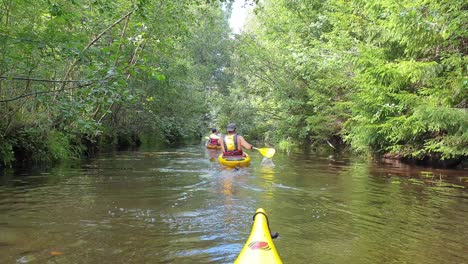 Grupo-De-Personas-Haciendo-Kayak-En-Un-Estrecho-Canal-Cubierto,-Naturaleza-Del-Norte-De-Europa
