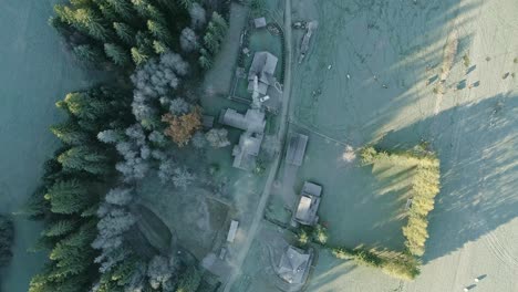 Aerial-top-down-over-houses-of-Witow-village-in-Poland