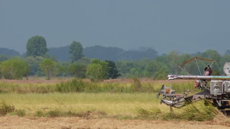 Rice-Harvester-and-Milling-Machine,-4K-Footage