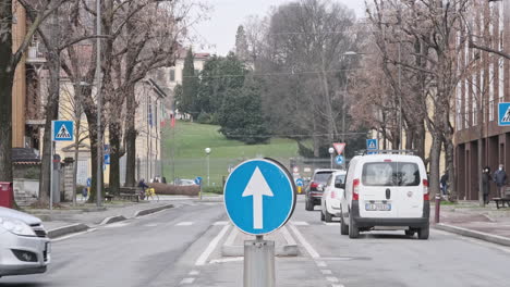 Blick-Auf-Die-Hauptstraße-Mit-Verkehr-Und-Schönem-Grünen-Park-Im-Hintergrund