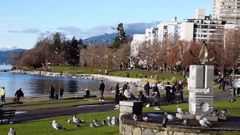 Menschen,-Die-An-Einem-Sonnigen-Tag-In-Einem-Park-An-Der-Englischen-Bucht-In-Vancouver-Spazieren-Gehen,-Während-Eine-Gruppe-Von-Tauben-Herumfliegt-Und-Im-Vordergrund-Landet