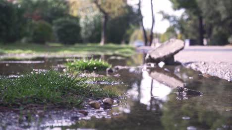 Tilt-up-shot-of-calm-water-on-a-ditch-next-to-a-road,-after-the-rain-4K
