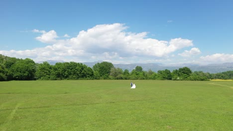 The-newlyweds-hold-hands-and-walk-across-the-meadow