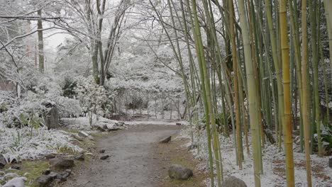Snow-in-park-with-bamboo-stalks-in-Japanese-garden-winter-scene