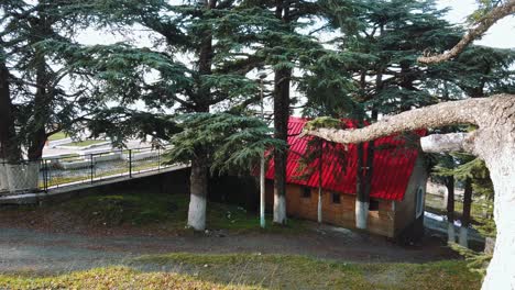 View-of-small-Wooden-red-Chalet-and-cedrus-trees,-clear-weather-,chrea-national-park