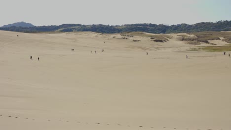 Tottori-Sand-Dunes,-Pan-across-Japans-only-Desert-on-warm-day