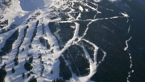 Aerial-top-down-of-snowy-Canadian-Whistler-mountains-and-many-conifer-trees-during-wintertime