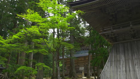 Estupa-Occidental-De-Saito-En-El-Monte-Koya-Vista-A-Través-De-Los-árboles-Del-Bosque