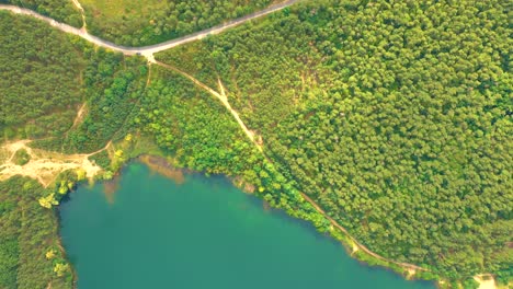 Aerial-view-of-wild-forest-lake-in-summer