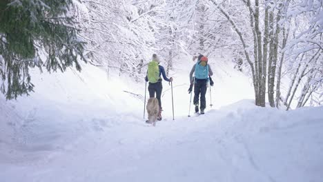 Skiing-couple-and-dog-walking-together-as-a-family-in-snow-forest