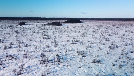 Aerial-birdseye-view-of-snowy-bog-landscape-with-hiking-trail-and-frozen-lakes-in-sunny-winter-day,-Dunika-peat-bog-,-high-altitude-wide-angle-drone-shot-moving-forward
