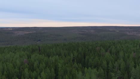 Calm-panoramic-flyover-forest-towards-horizon-on-a-fall-day