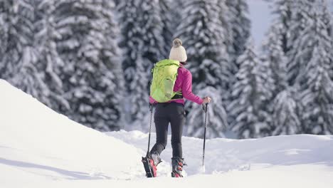 Touring-skier-woman-walking-alone-in-snow-landscape