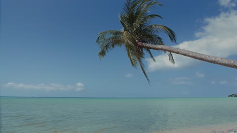 Blue-lagoon-sea-view-Tropical-paradise-landscape-with-coconut-palm-tree-on-blue-sky
