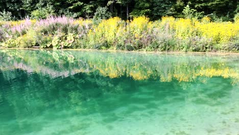 Türkisfarbener-Wassersee-Mit-Blumen-Und-Pflanzen-Am-Ufer