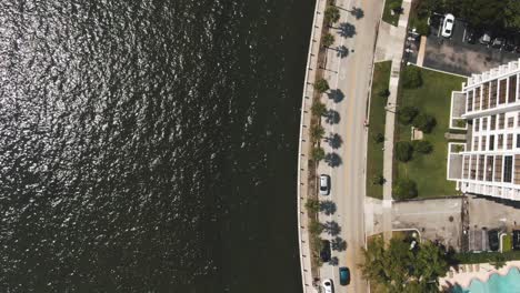 Aerial-top-down-view-of-Miami-palm-trees-road-on-waterfront-with-cyclist-4K