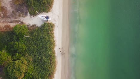 Drone-4k-Volando-Sobre-Un-Grupo-De-Personas-Caminando-En-La-Playa-Con-árboles