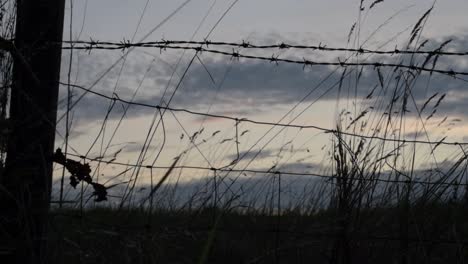 Barbed-wire-fence-at-sunset