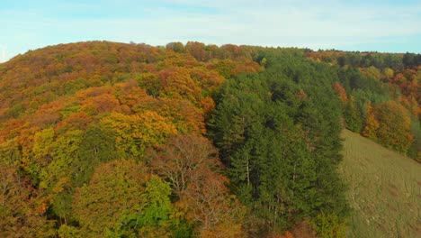 Fliegen-über-Einen-Wald-An-Einem-Goldenen-Tag-Im-Oktober-Mit-Herbstfarben