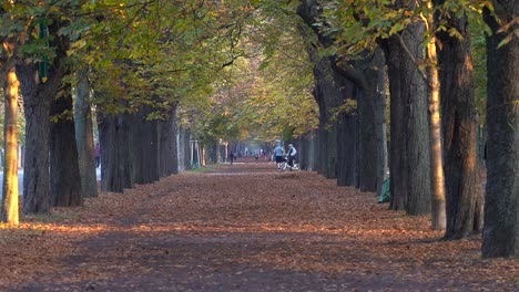 Beautiful-Autumn-In-Prater-With-Kids-Cycling-And-A-Person-Jogging-In-The-Background-With-Dried-Leaves-On-Ground-From-Trees-On-Sides---Wide-Steady-Shot