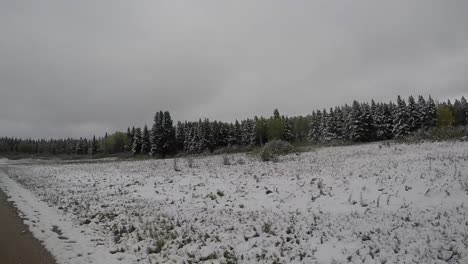 slow-motion-video-of-field-with-the-first-snowfall-of-2019-in-the-riding-mountain-area,-Manitoba-Canada
