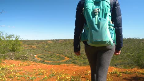 Hiker-walks-through-yellow-wildflowers-to-lookout-over-Coalseam-Conservation-Park,-Western-Australia