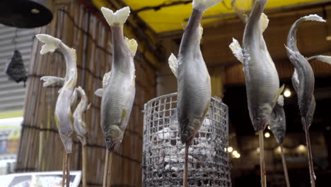 Japanischer-Gegrillter-Ayu-Fisch-Oder-Süßfisch,-Aufgespießt-Auf-Stöcken,-Rotierender-Linker-Mittlerer-Schuss