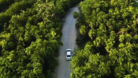 Aerial-following-a-car-on-a-beautiful-street-in-Mexico