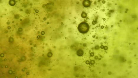 Unterschiedliche-Größe-Von-Wasserblasen-In-Gelbem-Flüssigem-Wasser,-Statisch