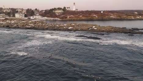 Sea-ducks-float-by-a-rocky-outcrop-at-sunrise-with-two-lighthouses-in-the-distance-AERIAL-FLY-OVER