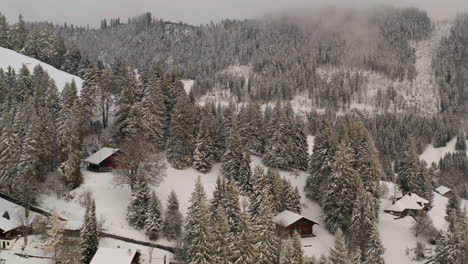 Jib-down-of-cozy-cabins-in-woodlands-on-snow-covered-mountain