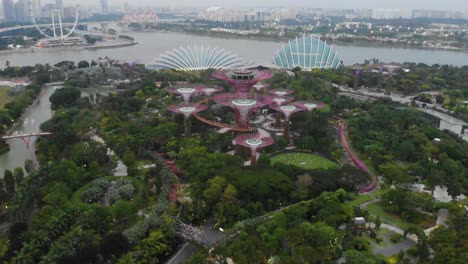 Aerial-view-over-Gardens-by-the-bay