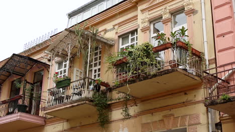 Low-angle-view-of-apartment-balcony-with-flower-pots-in-Batumi,-Georgia
