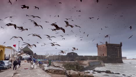 Wide-angle-view-of-the-port-and-entrance-to-Essaouira,-Morocco-on-a-stormy-day