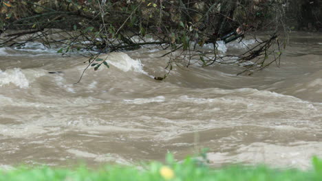 Big-Flood-Splashing-On-The-Tree-Branches-In-Leiria,-Portugal---Closeup-Shot