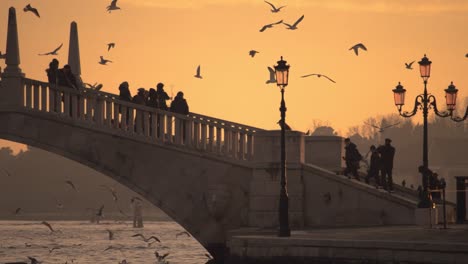 A-massive-flock-of-seagulls-flying-around-the-stone-bridge-with-beautiful-orange-sunset-sky-behind