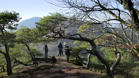 Personas-De-Pie-En-Un-Mirador-En-El-Bosque-Del-Palatinado-Disfrutando-De-La-Vista-De-Tres-Castillos