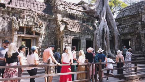 Weit-Nach-Oben-Geneigter-Schuss,-Der-Massive-Wurzeln-Enthüllt,-Die-Durch-Den-Alten-Tempel-Von-Ta-Prohm-Gehen,-Mit-Touristen,-Die-Auf-Einer-Holzbrücke-In-Der-Nähe-Von-Angkor-Wat-Warten
