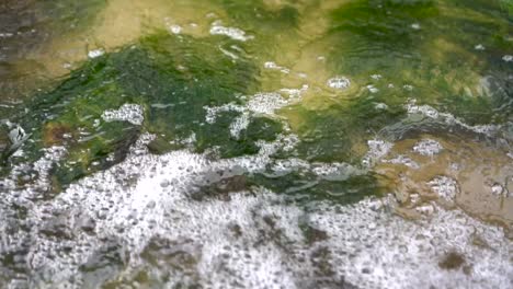 Fließendes-Wasser,-Klar,-Transparent,-Sand-Und-Grüne-Algen-Im-Hintergrund