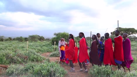 Los-Guerreros-Masai-Realizan-Un-Baile-Cultural-Por-La-Tarde-Para-Los-Clientes-Del-Safari