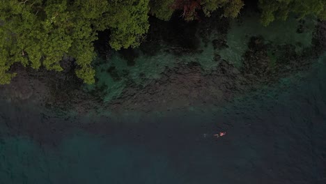 Drone-shot-going-down-towards-a-young-man-swimming-alone-in-Madang,-Papua-New-Guinea,-next-to-a-small-island-with-lush-forest