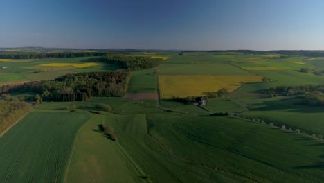 Drone-flight-over-yellow-and-green-fields