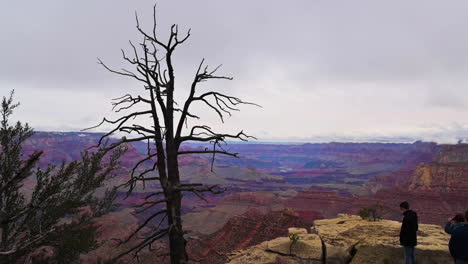 Touristen-Am-Rand-Des-Boulders,-Fotografiert-Die-Wunderschöne-Landschaft-Im-Grand-Canyon,-Arizona,-Usa-schwenkaufnahme