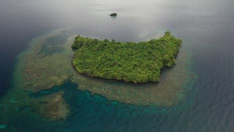 Aerial-shot-panning-down-over-a-small-island-full-of-lush,-green-jungle