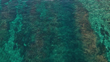 The-stunning-green,-dark-and-brown-colors-of-the-corals-in-Fiji---aerial