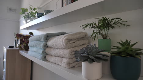 shot-of-medical-office-with-plants-and-towels