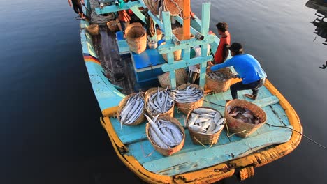 Los-Pescadores-Atracan-En-El-Puerto-Y-Recogen-Su-Pescado-Para-La-Venta